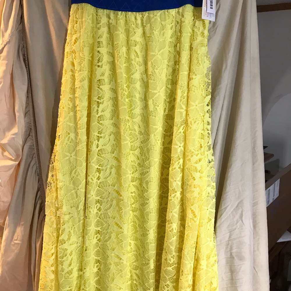 Lularoe Lucy skirt